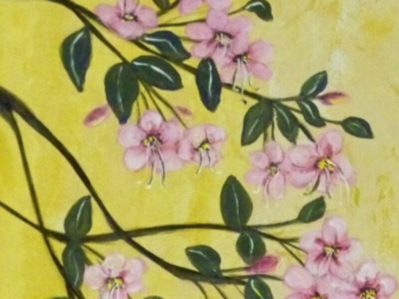Japanese Cherry Blossum