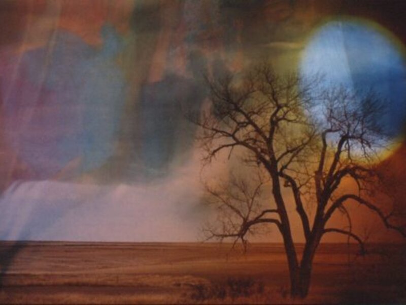 slide sandwich, sun over tree