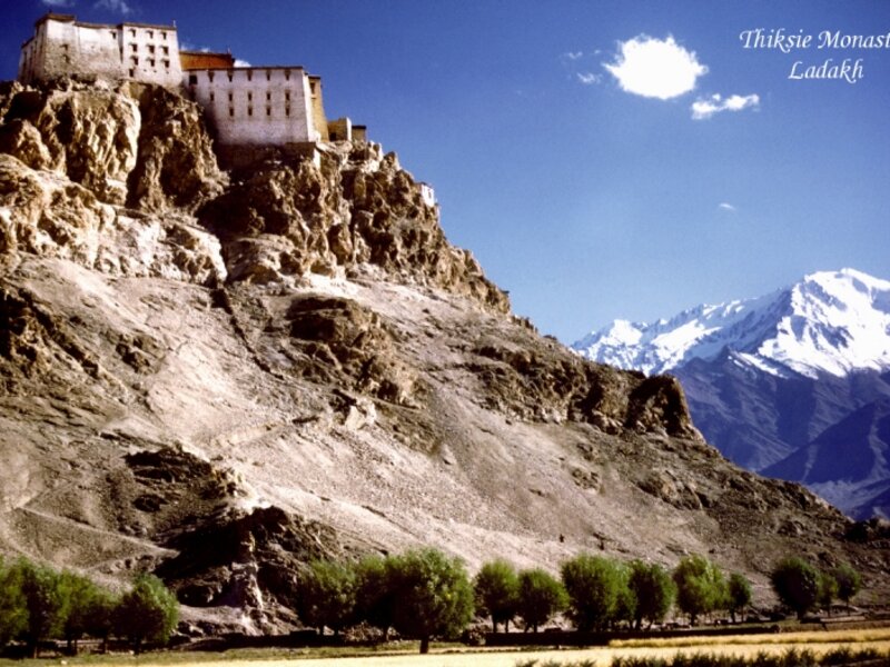 Thiksie Monastery, Ladakh, India