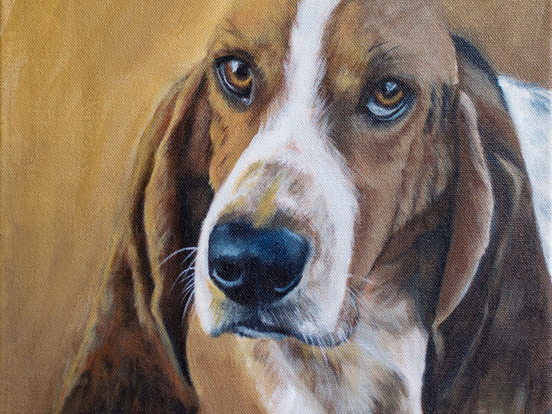 Face it, My Ears are My Best Feature