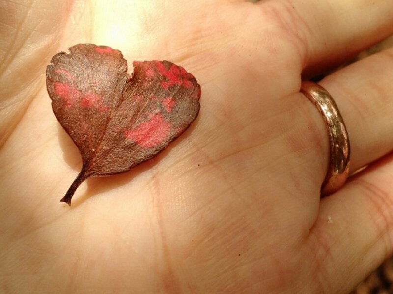 love in the hand