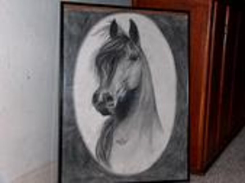 bevitore del vento