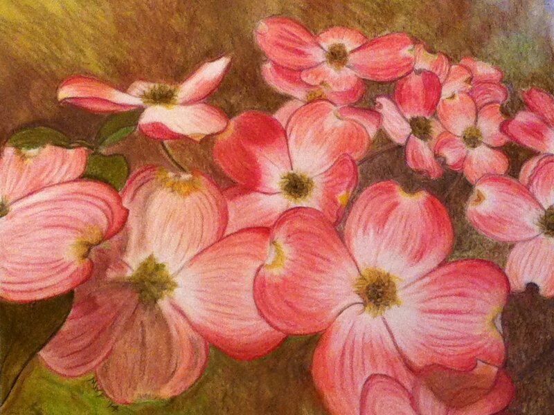 Augusta Georgia pink dogwood