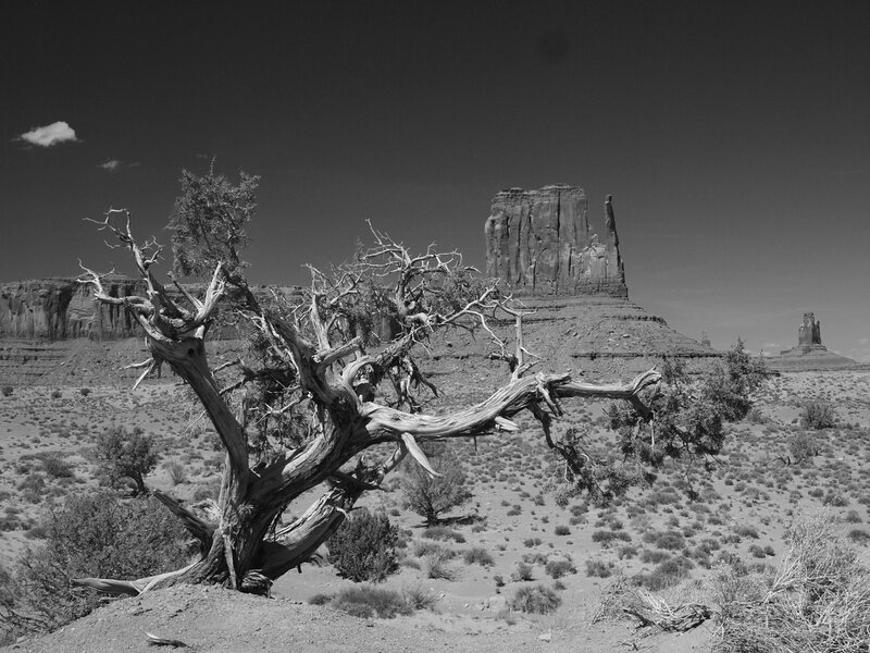 Monument Valley, Az