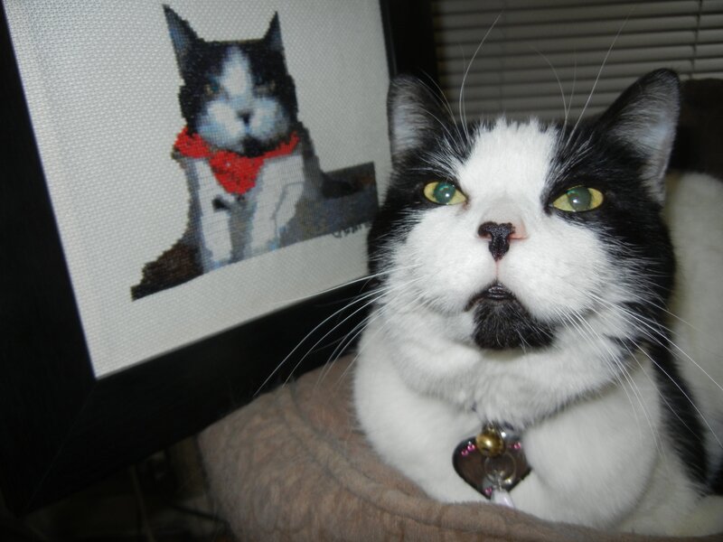 Muffin The Cat