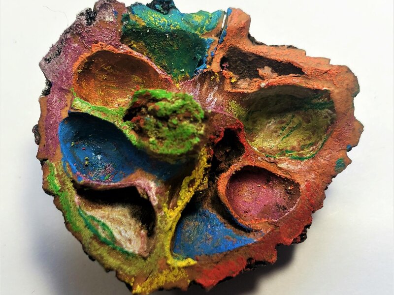 Half shell walnut, painted with prismacolor pencils, acrylics and intense pencils