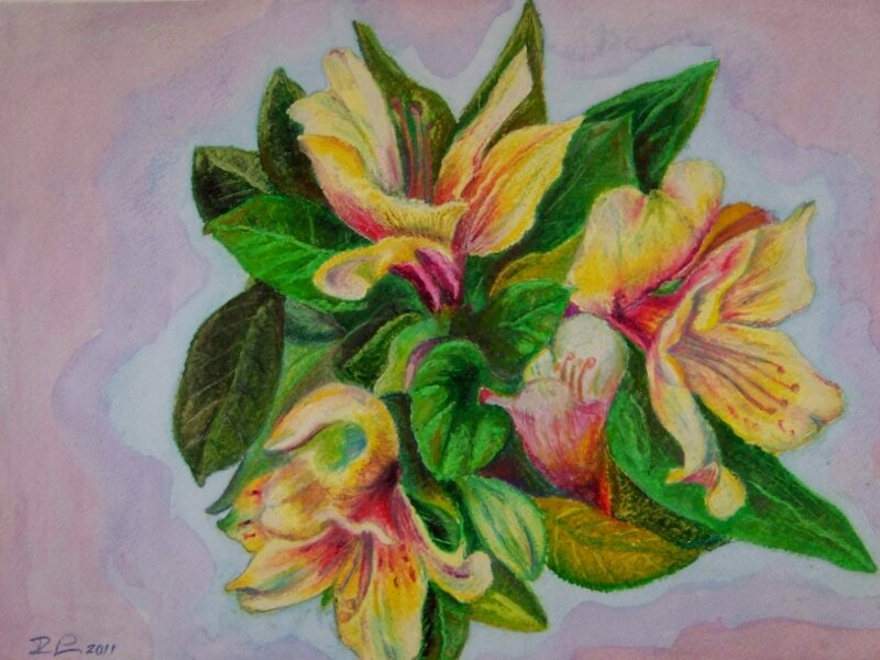 Flowers for my wife. study. 