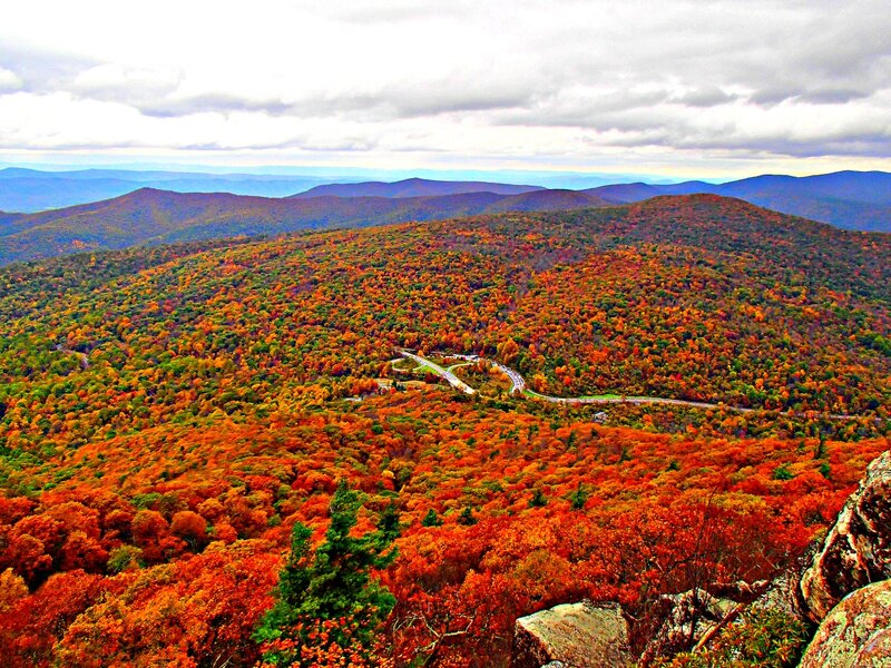 View from Mary's Rock on Skyline Drive