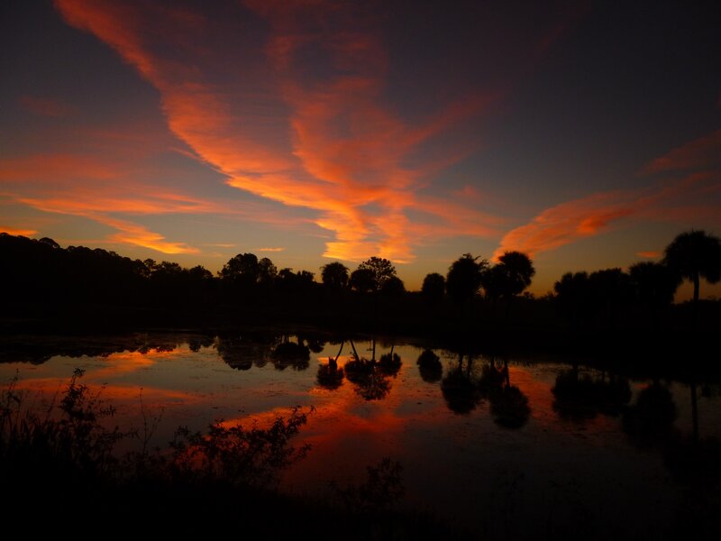 Fire in the Sky John Taylor Park