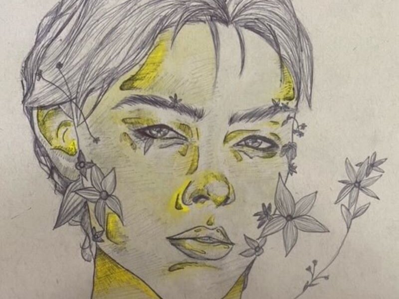ballpoint pen and highlighter were the mediums used