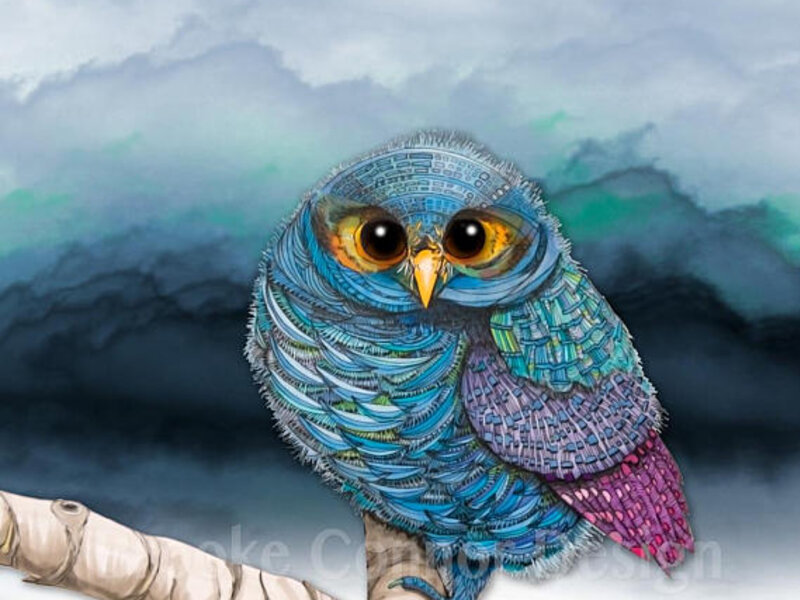 The Flammulated Owl, by Brooke Connor