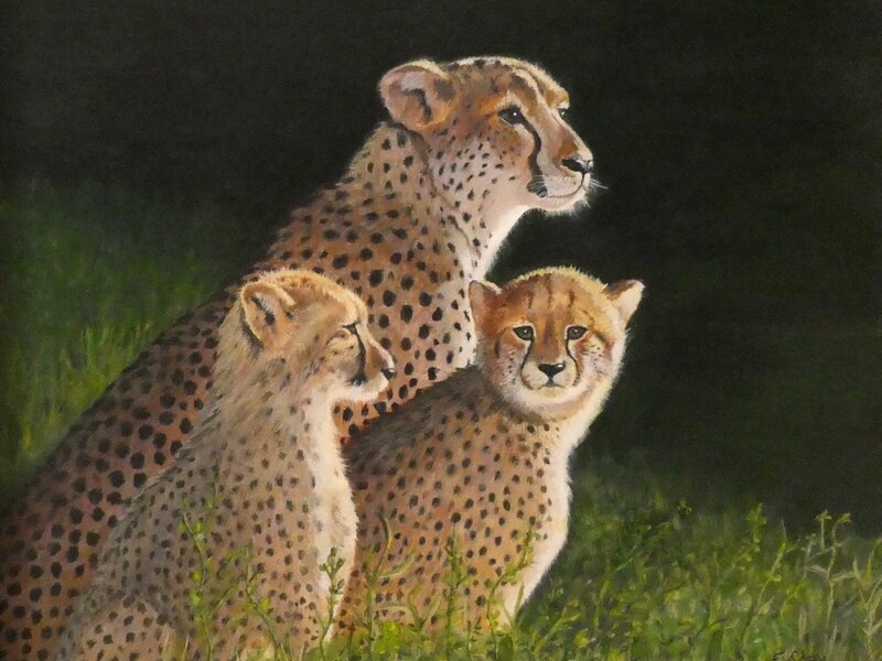 Cheetah Family