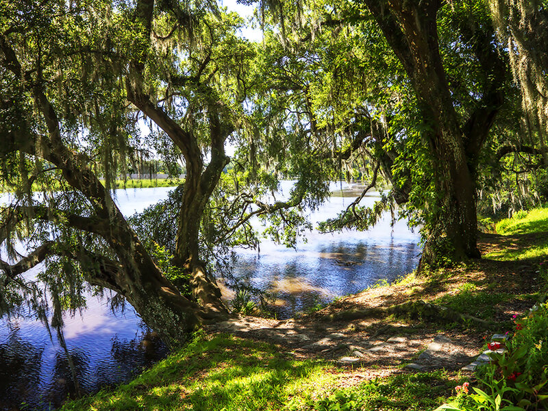 The Ashley River Bank -1 