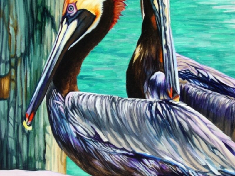 Pelicans