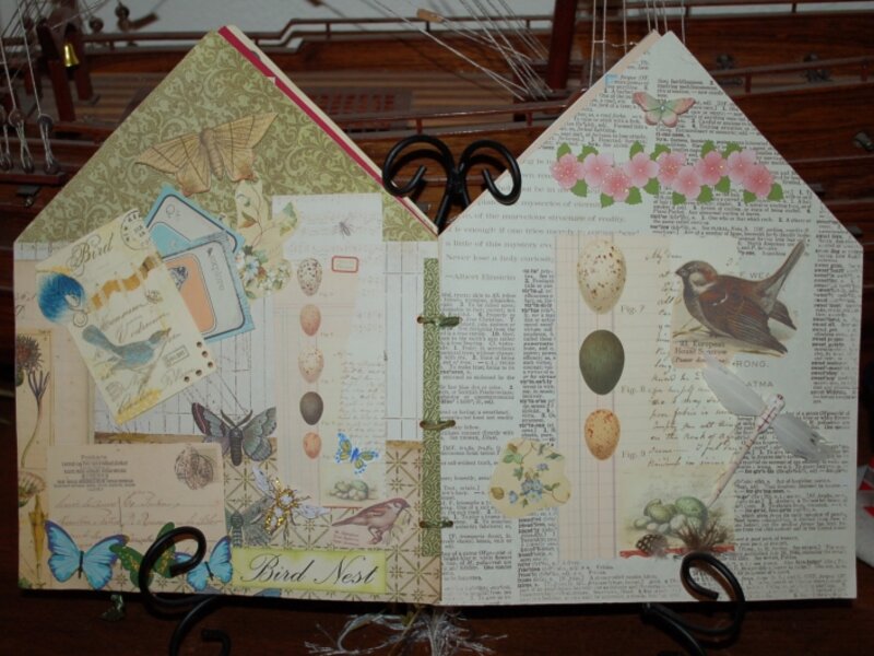 Page 6 and 7 of Conservatory Book