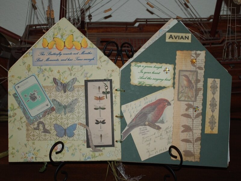 Page 4 and 5 of Conservatory Book