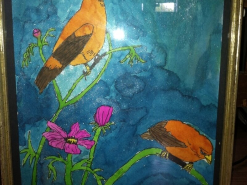 birds