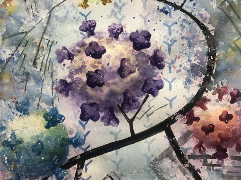 Phylogenetic trees of influenza viruses