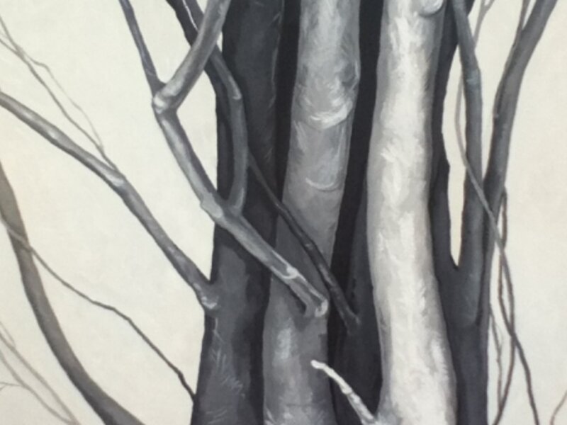 Untitled (nature)