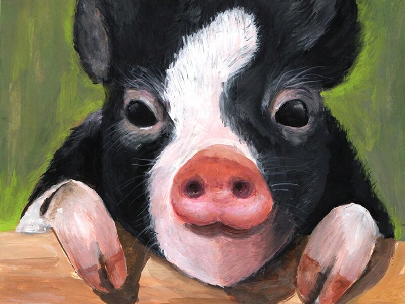 A piggy