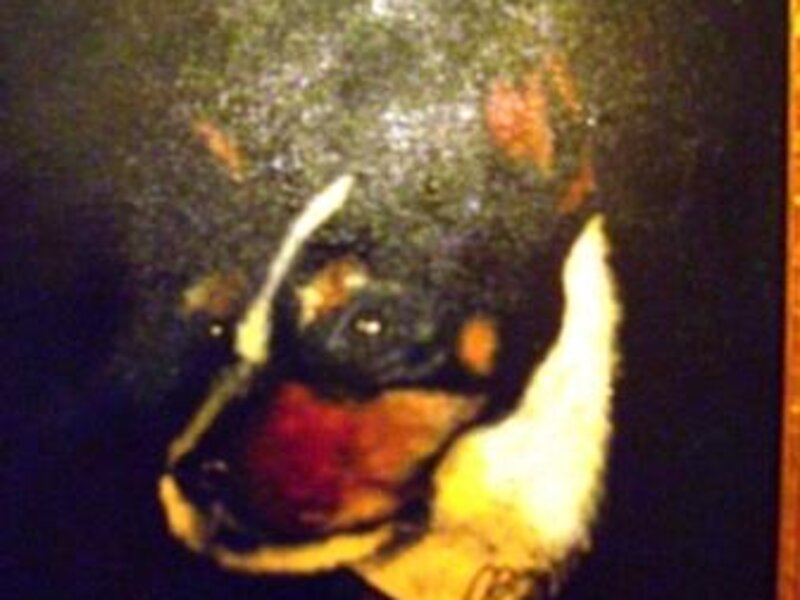 portrait of lucky