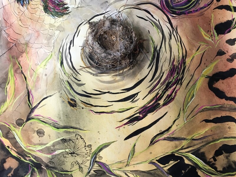 hummingbird nest, flight