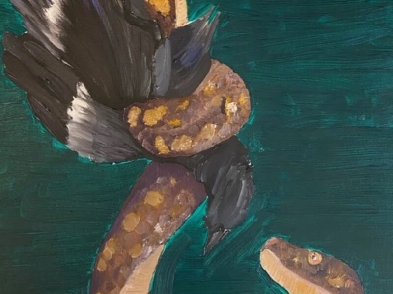 a snake capturing a bird