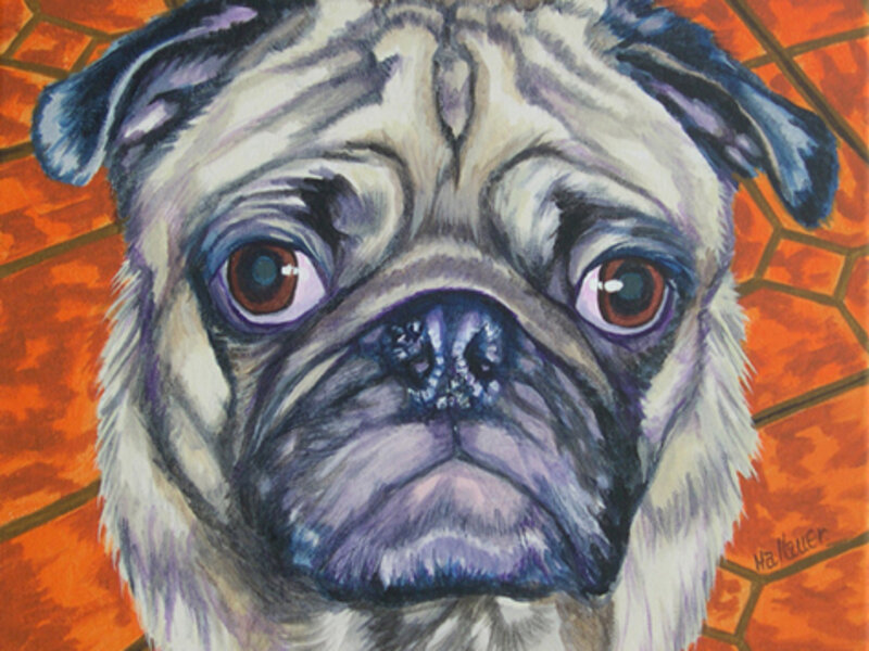 Pug Eyes