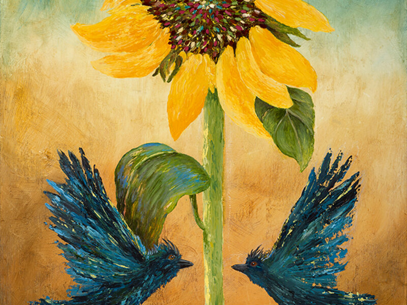 sunflower, birds