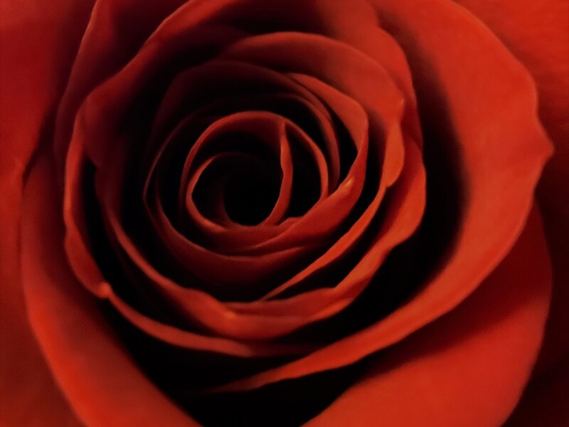 Red Red Wine