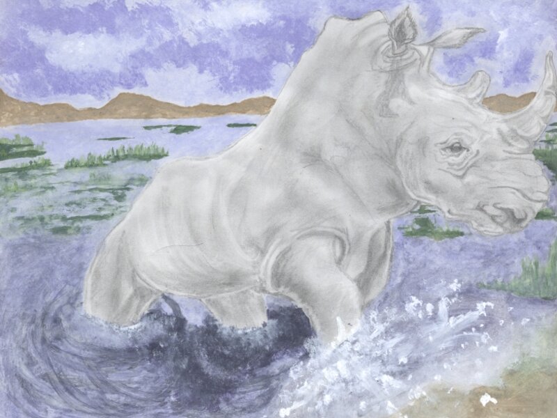 Rhino Strong