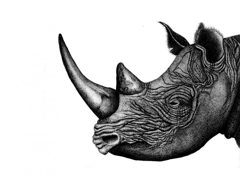 Pen and Ink illustration