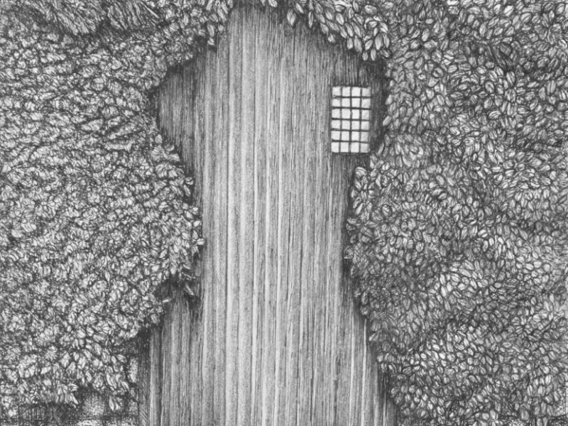 Pen and ink