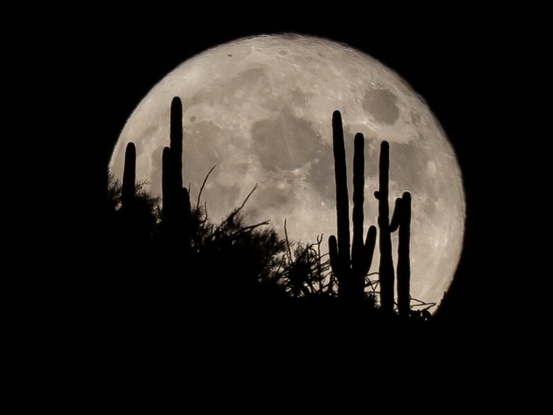 Full Moon Rising
