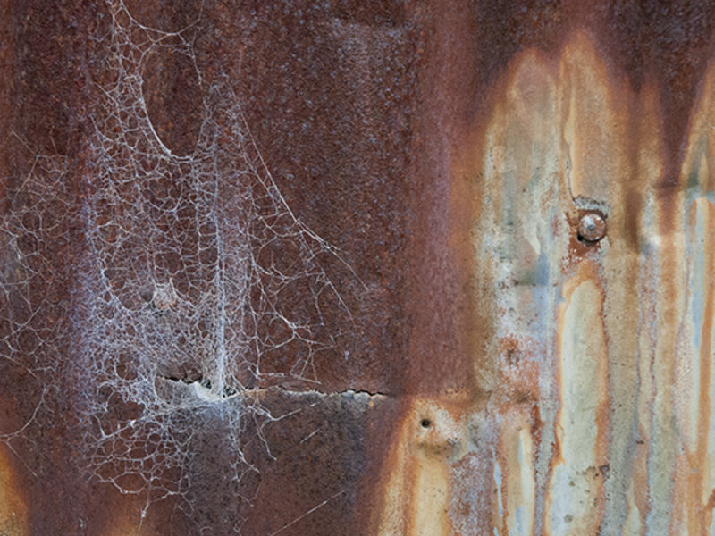 rust and web