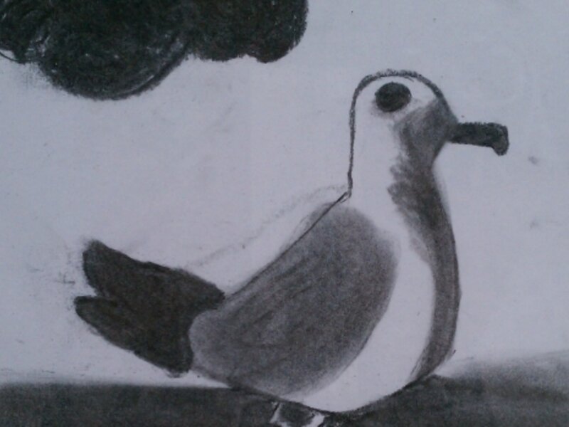Seagull