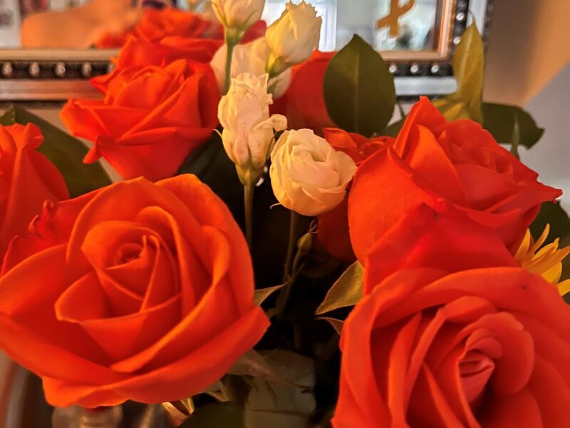coral roses in a vase in front of a reflection