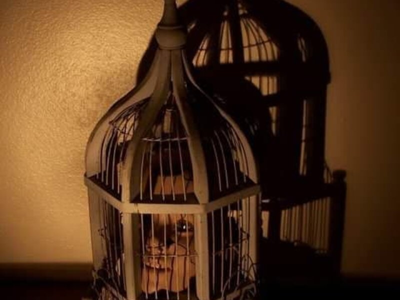 Set Free