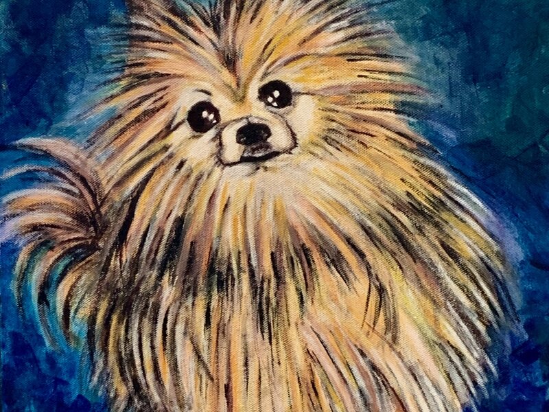 Acrylic Pet Painting