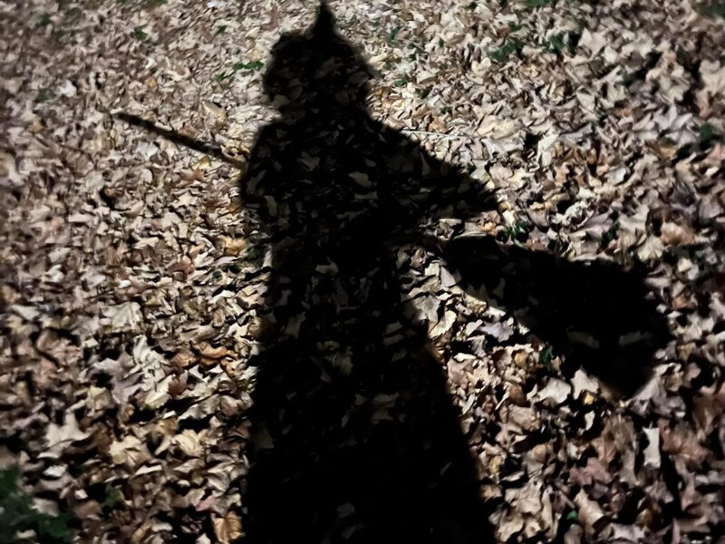 the shadow of a witch