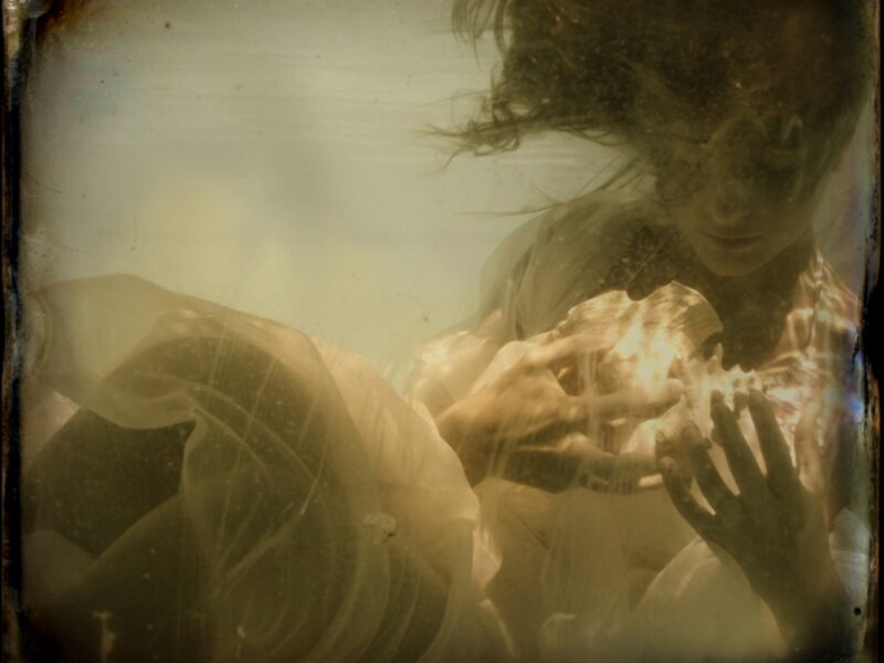 Shell