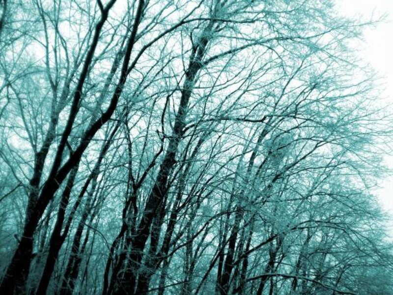 Blue Winter 