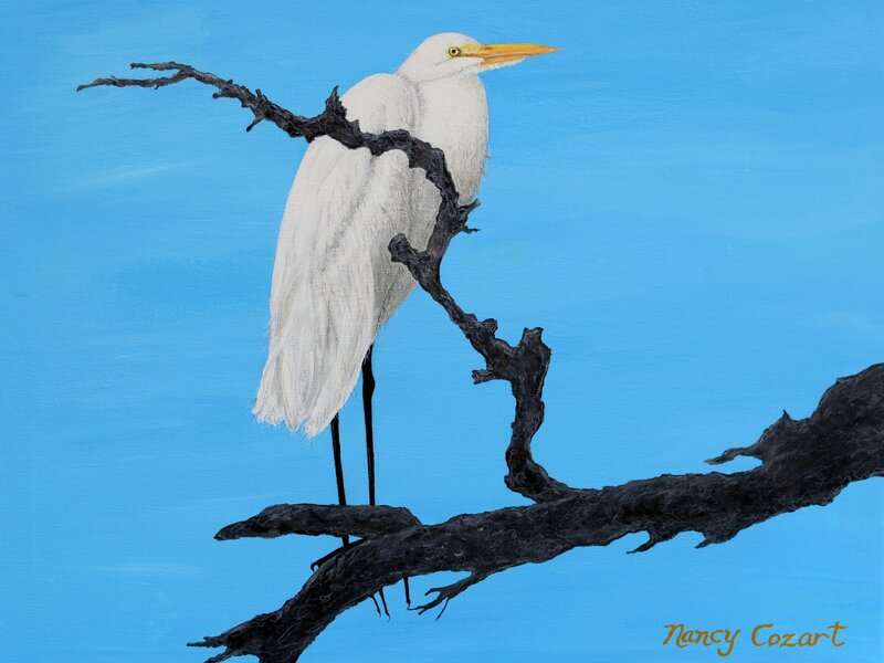 Snowy Egret