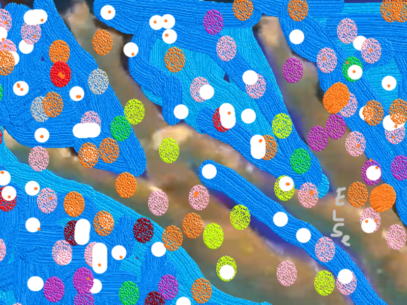 Microbiome and Spring Fracture of My Favorite Ankle