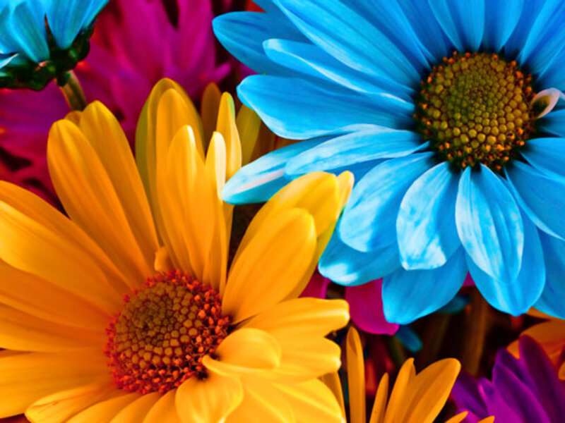 Springtime Bouquet