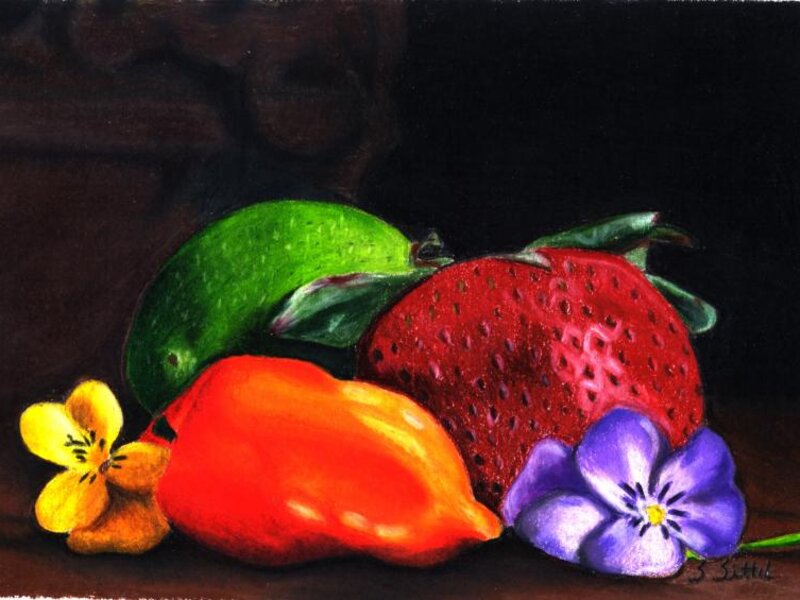 Still Life