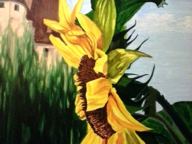 Sunflower AtTombs Castle