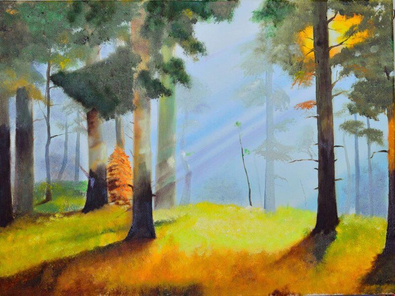 Forest lights