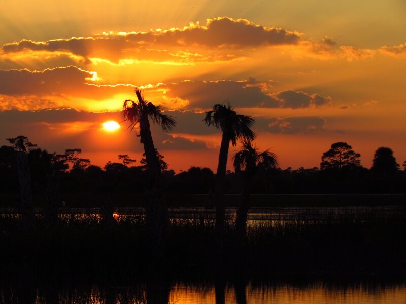 Wetlands Sunset