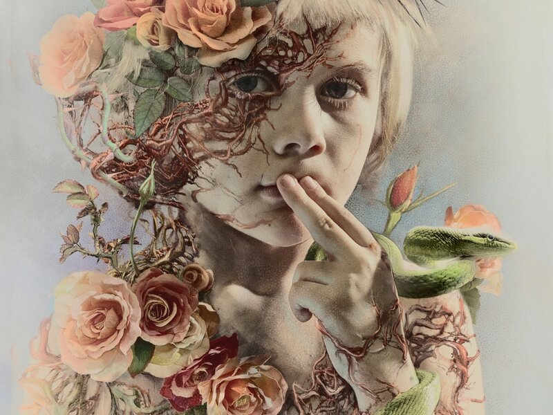 The Little Prince (by MANDEM)